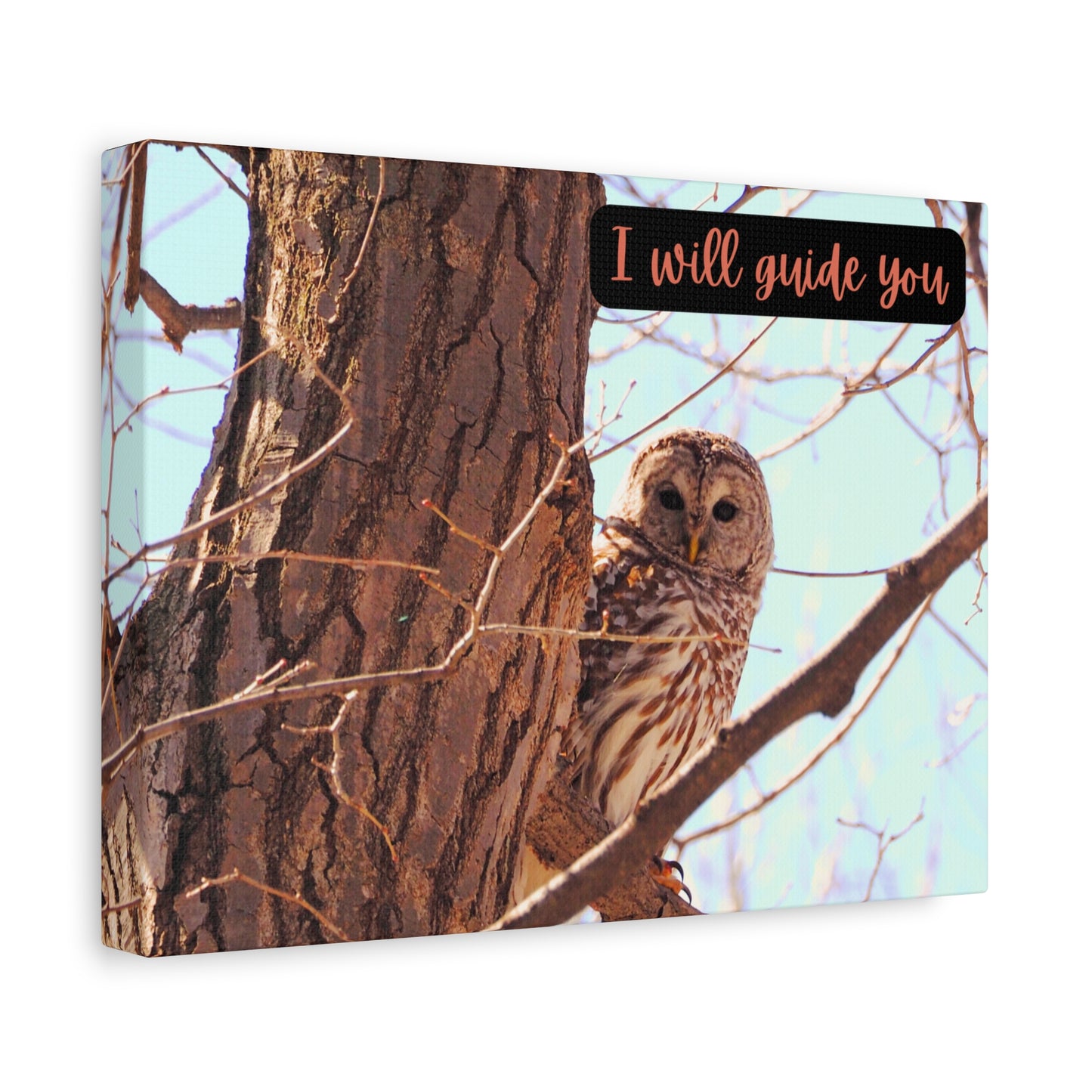 Canvas Print - Barred Owl in a Tree 'I Will Guide You' Artwork