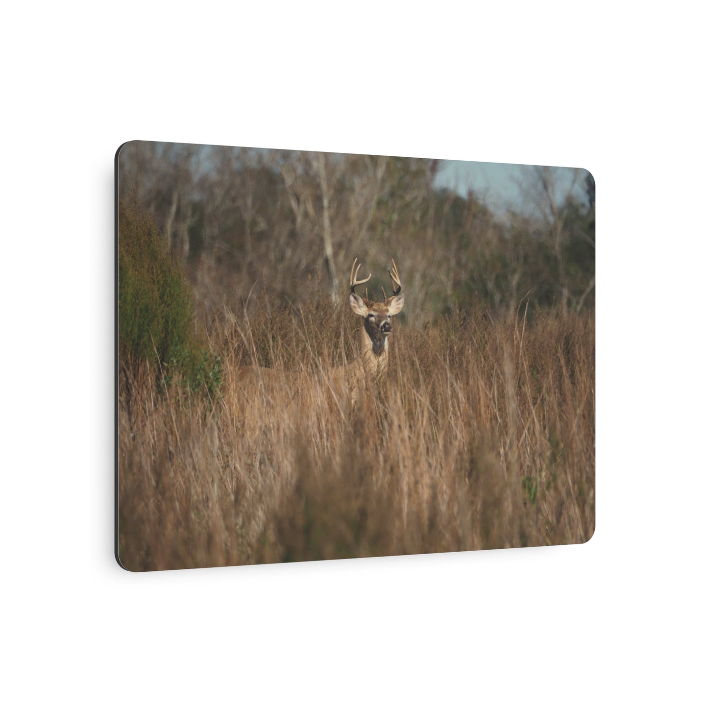 Metal Art Sign - Fall Buck Nature Scene Wall Decor