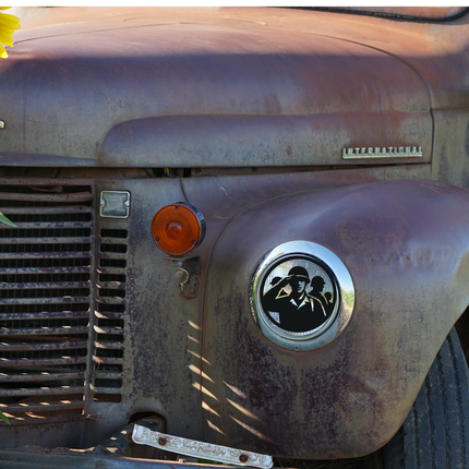 Collection image for: Veterans