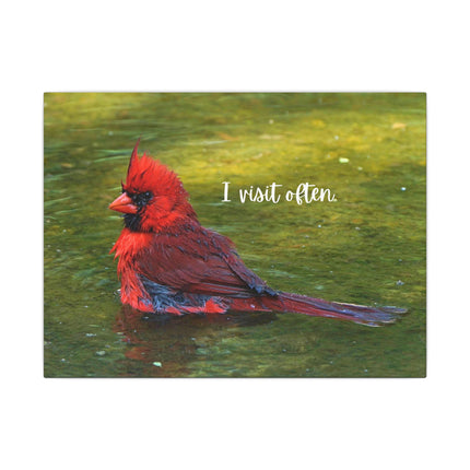 Canvas Print of Red Cardinal "I Visit Often" Art