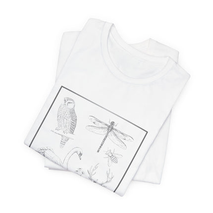 A folded white short-sleeve T-shirt with a black line art graphic print featuring an owl, dragonfly, swan, and bee inside a rectangular border, shown on a clean white background.