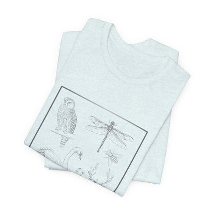 A folded light heather gray t-shirt featuring a black line art graphic of a bird, dragonfly, and bee inside a rectangular border, displayed on a clean white background.