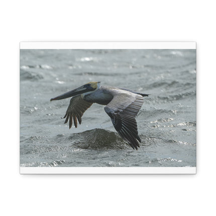 Pelican Over Surf Matte Canvas Print — Stretched 1.25"