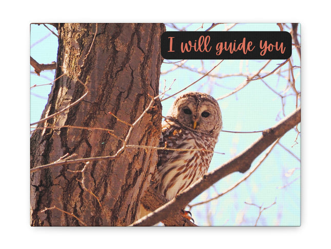 Canvas Print - Barred Owl in a Tree 'I Will Guide You' Artwork