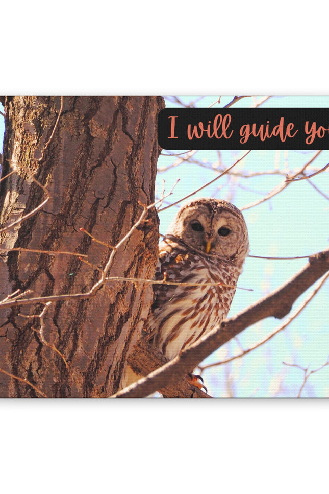 Canvas Print - Barred Owl in a Tree 'I Will Guide You' Artwork