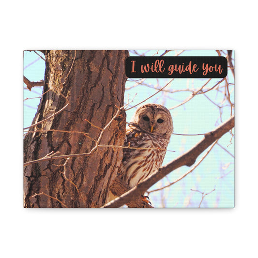Canvas Print - Barred Owl in a Tree 'I Will Guide You' Artwork