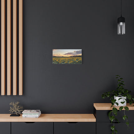 Modern interior with a wall-mounted painting of a sunflower field, wooden shelf, and black wall.