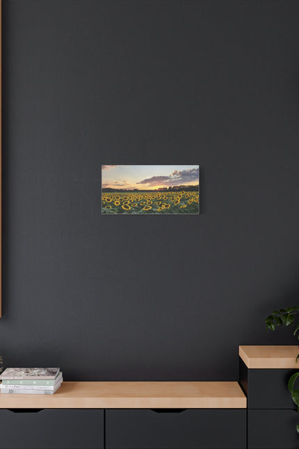 Serene Sunflower Field Sunset Matte Canvas Wall Art