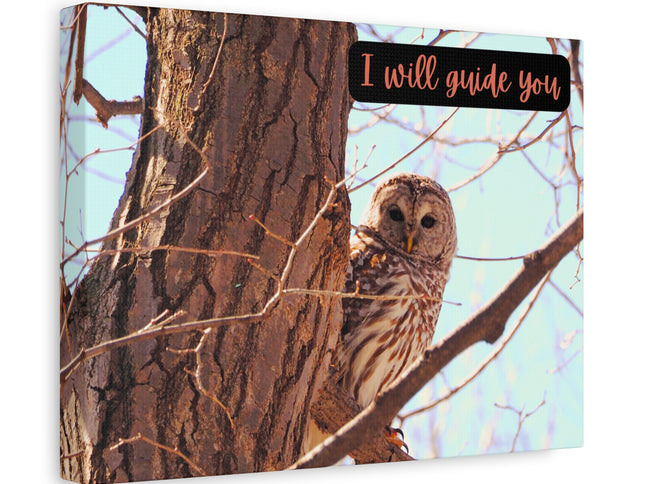 Canvas Print - Barred Owl in a Tree 'I Will Guide You' Artwork