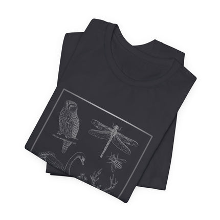 A folded stack of dark t-shirts with an owl, dragonfly and bee.  On a white background.