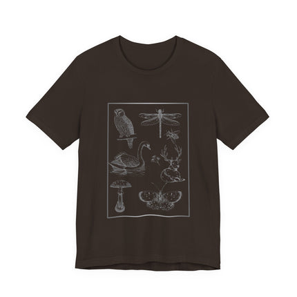 A dark brown short-sleeve crewneck t-shirt featuring a light gray line art graphic of various nature illustrations, including an owl, dragonfly, swan, deer, mushroom, and butterfly, arranged inside a thin rectangular border on the front.