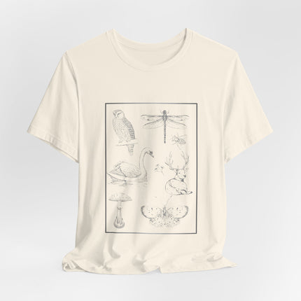 An off-white short-sleeve crewneck t-shirt featuring a black line art graphic print of various nature sketches (bird, dragonfly, swan, deer, mushroom, frog) arranged inside a thin rectangular border on the front.