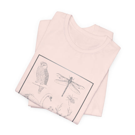 A light pink folded t-shirt featuring a black line art graphic of a bird, dragonfly, and bee inside a rectangular border, displayed on a clean white background.