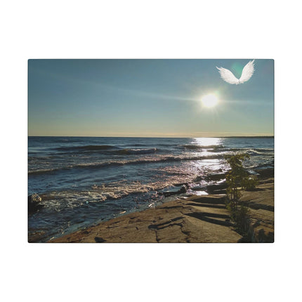 Beach scene with waves, sun, and a dove in the sky