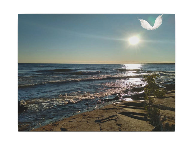 Beach scene with waves, sun, and a dove in the sky