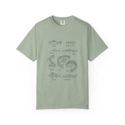 Vintage Fish Identification T-Shirt — Illustrated Species