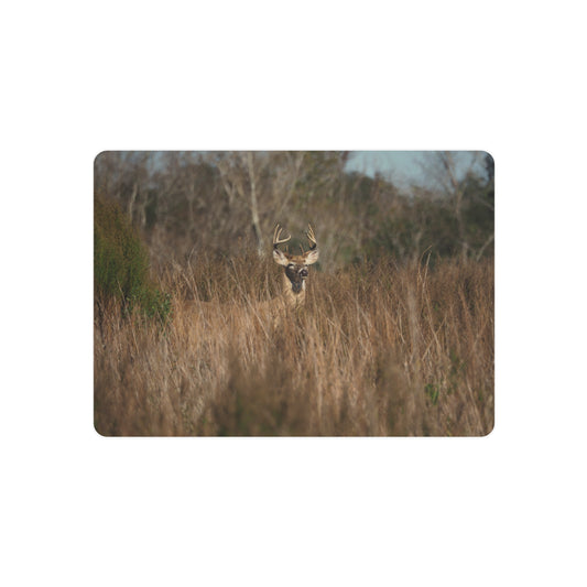 Deer in a grassy field with trees in the background