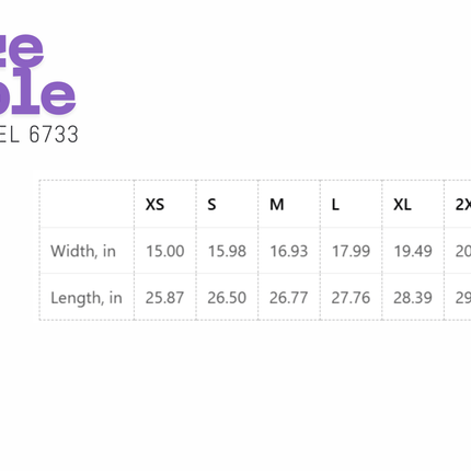 Size chart for NEXT LEVEL 6733 fabric with measurements in inches.
